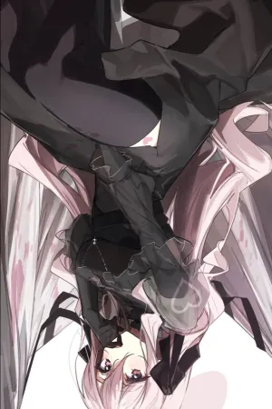 Sampul Novel The Retired Hero Bought the Demon King as a Maid Bahasa Indonesia - Enuma Novel